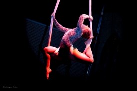 Aleia Olson - Aerialist / Acrobat