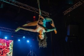 Brittany Royce - Aerialist / Acrobat